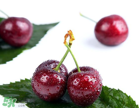 櫻桃怎么保存才新鮮？櫻桃怎么保存時間長？