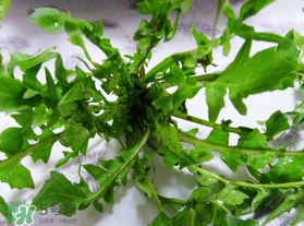 春天吃薺菜好嗎？春天吃薺菜有什么好處？