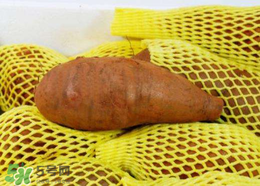 雪蓮果裂開(kāi)可以吃嗎？雪蓮果裂了還能吃嗎？