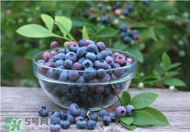 藍(lán)莓一天吃多少為宜？藍(lán)莓每天吃多少合適？