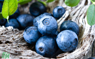 藍(lán)莓變軟了還能吃嗎？藍(lán)莓發(fā)軟了還能吃嗎？