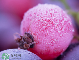 藍(lán)莓變紅可以吃嗎？藍(lán)莓發(fā)紅是壞掉了嘛？