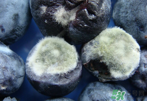 藍(lán)莓發(fā)霉還能吃嗎？藍(lán)莓發(fā)霉怎么辦？