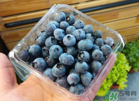 盒裝藍(lán)莓要洗嗎？盒裝藍(lán)莓怎么洗？