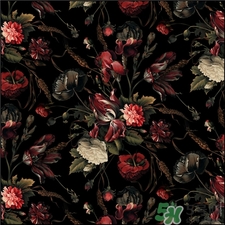 Givenchy紀(jì)梵希是哪個(gè)國(guó)家的牌子?紀(jì)梵希是幾線品牌? Givenchy紀(jì)梵希是哪個(gè)國(guó)家的牌子?紀(jì)梵希是幾線品牌?