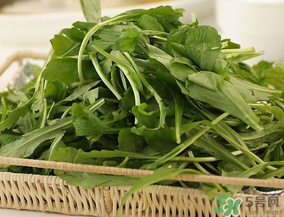 薺菜有毒嗎？吃薺菜會(huì)中毒嗎？