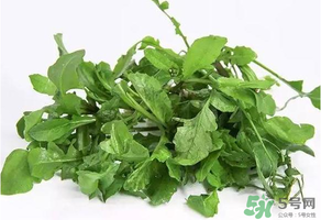 薺菜有毒嗎？吃薺菜會(huì)中毒嗎？