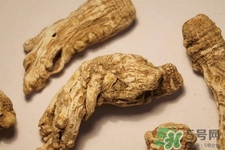 川芎的營養(yǎng)價值 川芎的功效與作用 川芎的營養(yǎng)價值 川芎的功效與作用