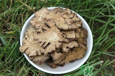 川芎的營養(yǎng)價值 川芎的功效與作用 川芎的營養(yǎng)價值 川芎的功效與作用