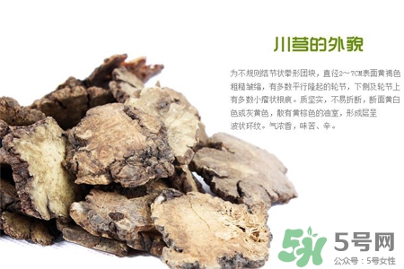 川芎的營養(yǎng)價值 川芎的功效與作用 川芎的營養(yǎng)價值 川芎的功效與作用