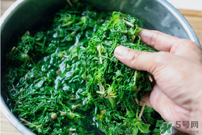 薺菜有草酸嗎？薺菜草酸高嗎？