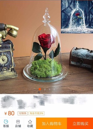 野獸派美女與野獸水晶球多少錢？野獸派音樂水晶球價格