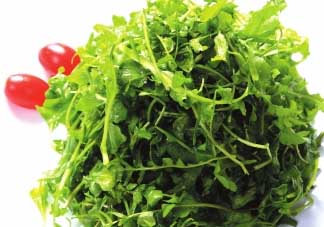 糖尿病人能吃薺菜嗎？糖尿病人可以吃薺菜嗎？