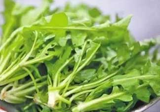 便秘能吃薺菜嗎？便秘可以吃薺菜嗎？