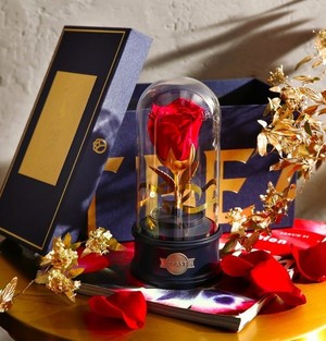 野獸派美女與野獸水晶球多少錢？野獸派音樂水晶球價格