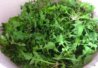 薺菜和醋能一起吃嗎？醋拌薺菜能吃嗎？