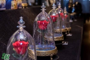 camino美女與野獸音響多少錢？camino玫瑰藍牙音箱價格