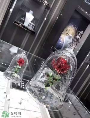 施華洛世奇美女與野獸有哪些？施華洛世奇美女與野獸哪里買