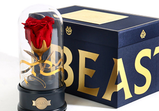 野獸派美女與野獸水晶球多少錢？野獸派音樂水晶球價格