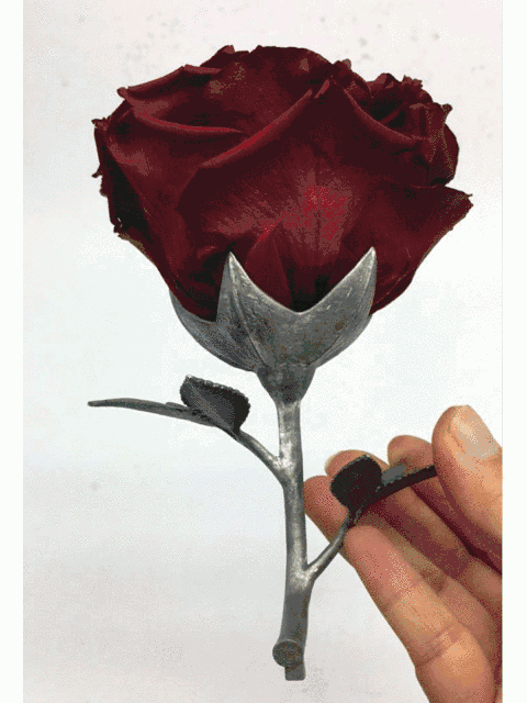 野獸派美女與野獸水晶球多少錢？野獸派音樂水晶球價格