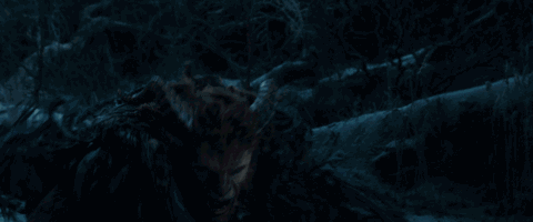 野獸派美女與野獸水晶球多少錢？野獸派音樂水晶球價格