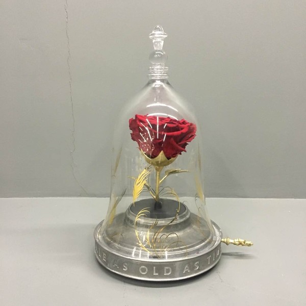 野獸派美女與野獸水晶球多少錢？野獸派音樂水晶球價格