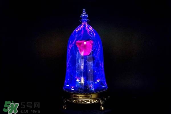 camino美女與野獸音響多少錢？camino玫瑰藍牙音箱價格