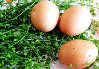 三月三為什么要吃雞蛋？三月三吃雞蛋的由來(lái)