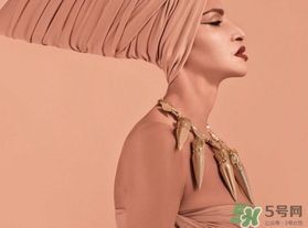 蘿卜丁口紅為什么火？蘿卜丁口紅圖片