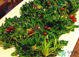 野生薺菜孕婦能吃嗎？野薺菜孕婦可以吃嗎？