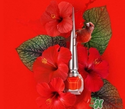 cl指甲油多少錢？cl紅底鞋指甲油專柜價格