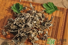 艾草是寒性的嗎？艾草是涼性的嗎？