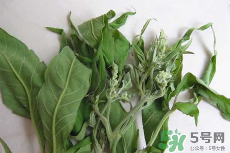 艾草可以泡腳嗎？艾葉泡腳的功效與作用