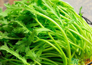 皇帝菜是茼蒿嗎？皇帝菜和茼蒿的區(qū)別