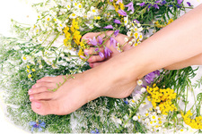 艾草泡草有什么好處？用艾草泡腳的好處有哪些？