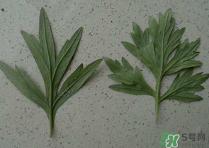 ?蒿子怎么去除苦味？?蒿子粑粑苦是什么原因？