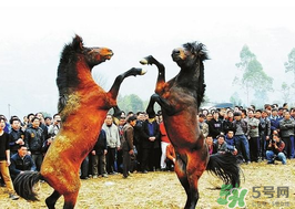 三月三有什么禁忌？三月三有什么講究？