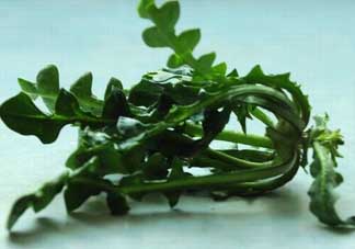 乙肝能吃薺菜嗎？乙肝病人可以吃薺菜嗎？