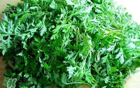 蒿子什么時候有？蒿子什么時候長？