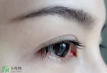 serge lutens蘆丹氏睫毛膏怎么樣？蘆丹氏睫毛膏好不好用？