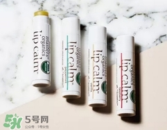 2017有機(jī)潤(rùn)唇膏排行榜10強(qiáng)_2017有機(jī)潤(rùn)唇膏新品熱門推薦