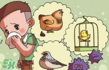 怎樣預防禽流感？如何預防禽流感