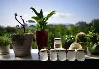 即食燕窩好嗎？即食燕窩和自己燉的哪種好？