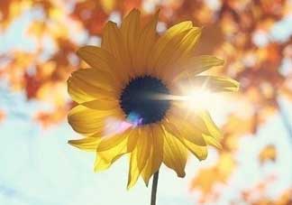 2017天氣什么時(shí)候回暖？2017什么時(shí)候升溫？