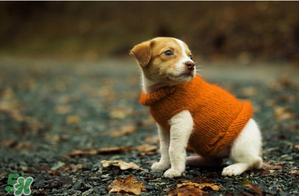 2017天氣什么時(shí)候回暖？2017什么時(shí)候升溫？