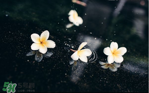 三月份為什么一直下雨？2017年三月份為什么雨多？