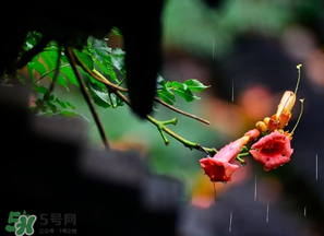 2017年梅雨季節(jié)是幾月？2017年梅雨季節(jié)是什么時(shí)候？