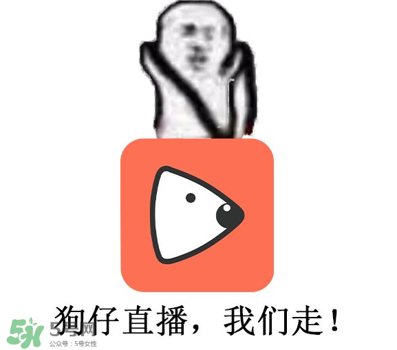 黃鱔為什么火了？黃鱔我們走為什么火了？
