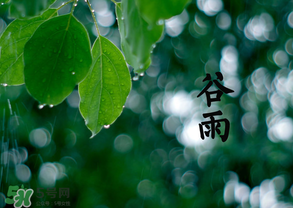 2017年谷雨是幾月幾號？2017年谷雨是哪一天？