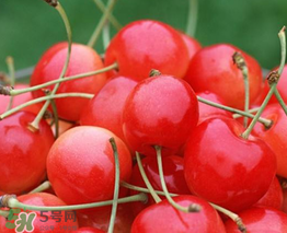 櫻桃什么品種最好吃？櫻桃哪個品種最好吃？